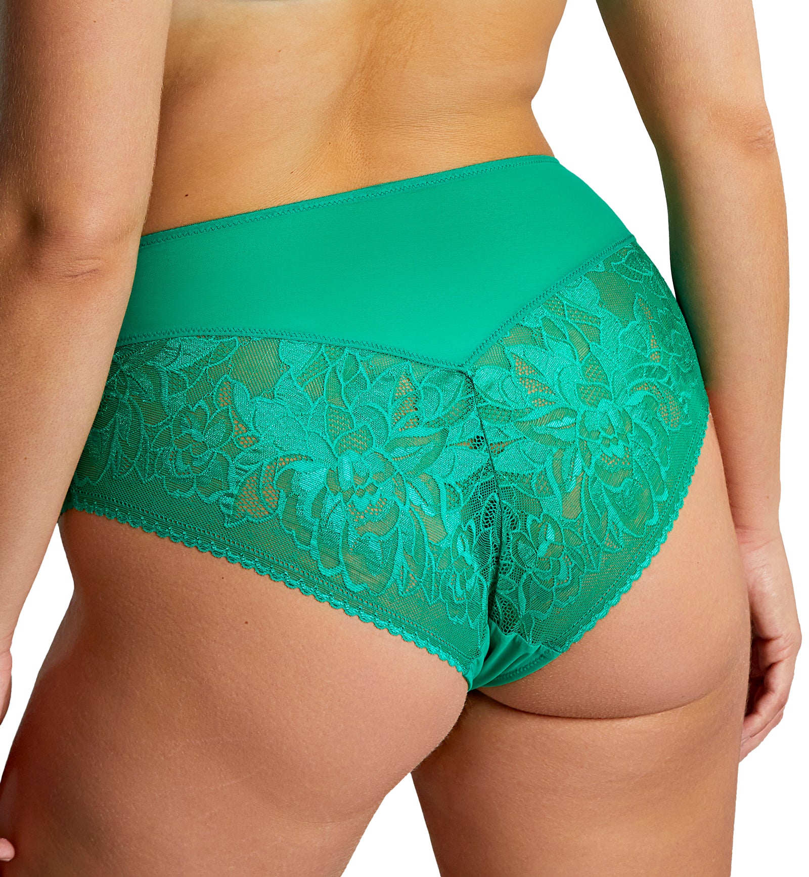 Sculptresse by Panache Dream Deep Brief (10804),Medium,Emerald - Emerald,Medium