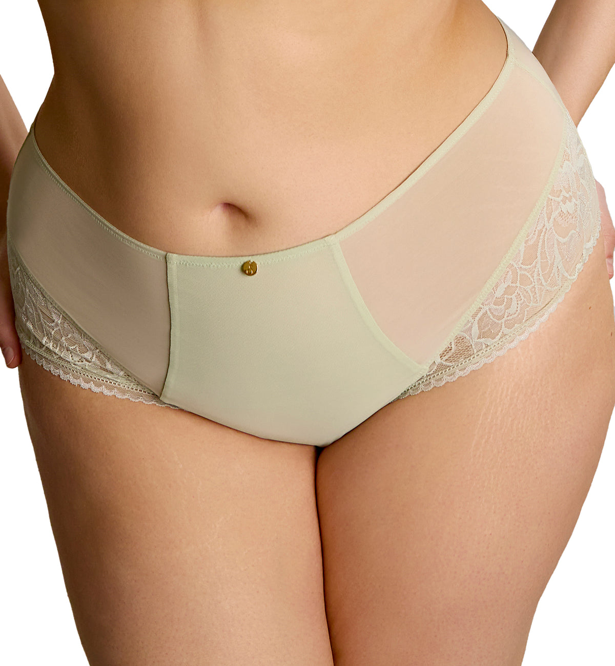 Sculptresse Dream Deep Brief (10804),Large,Pistachio - Pistachio,Large