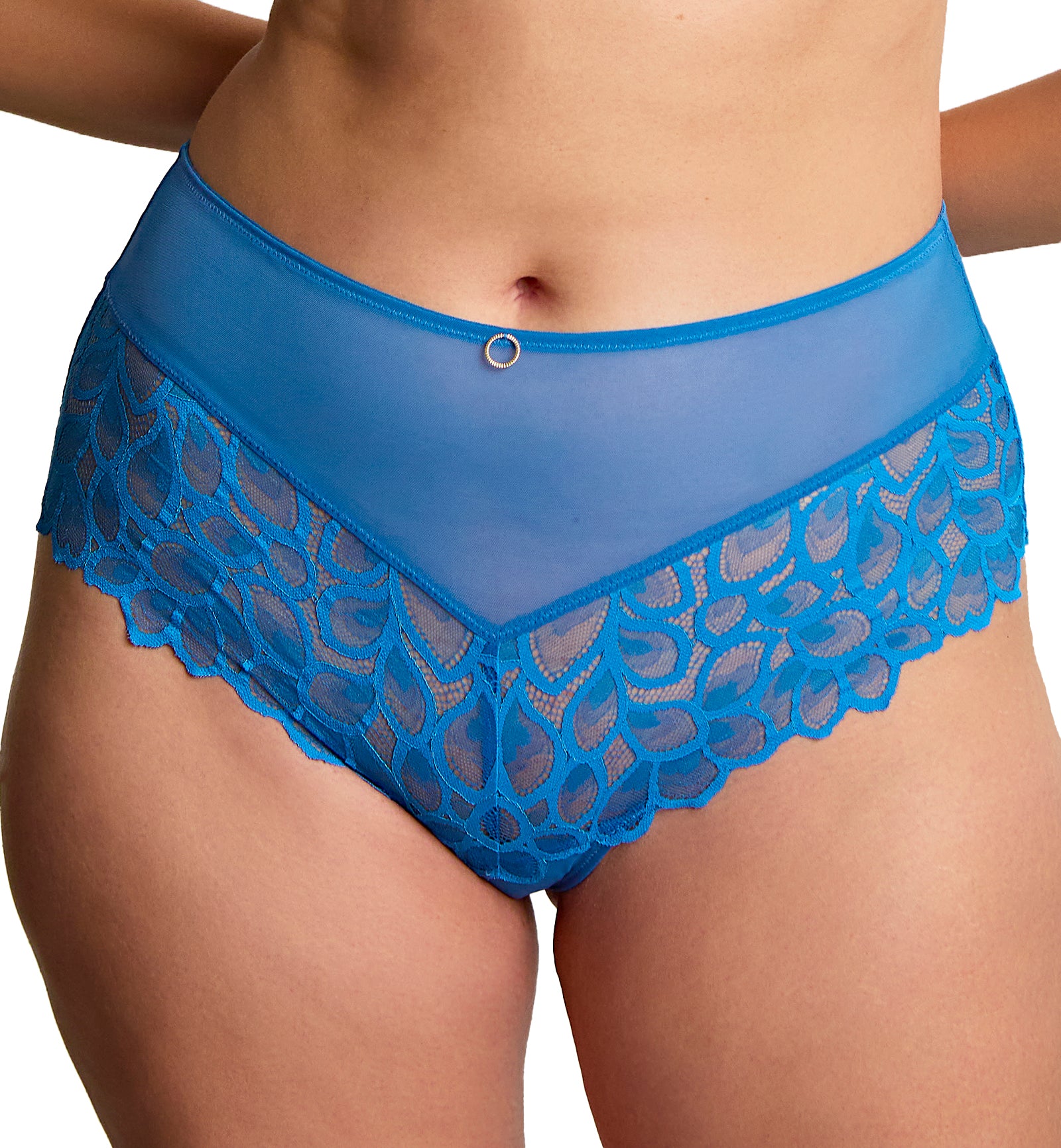 Panache Allure Deep Brief (10764),Small,Azure Blue - Azure Blue,Small