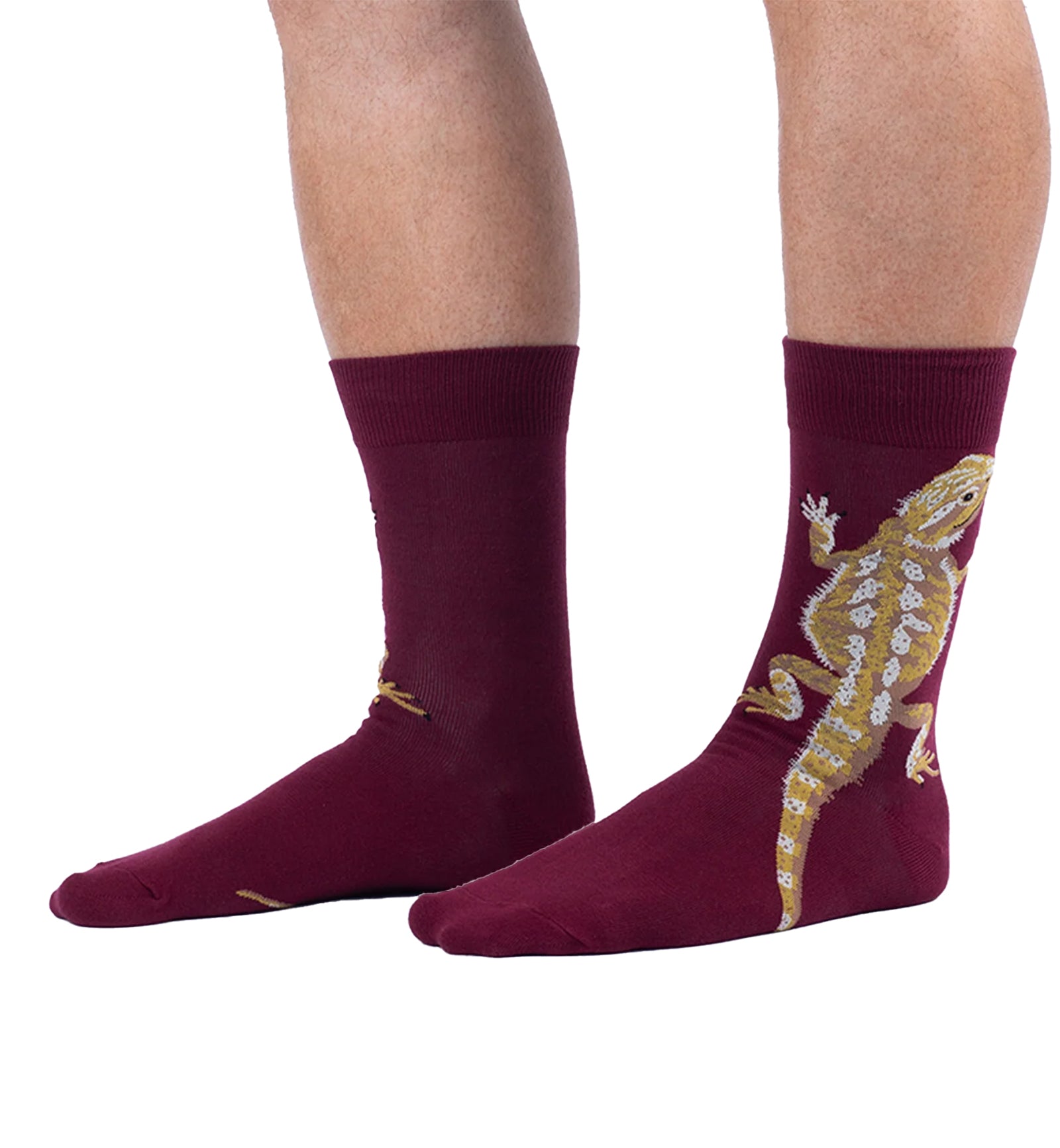 SOCK it to me Men's Crew Socks (MEF0714),Bearded Dragon - Bearded Dragon,One Size