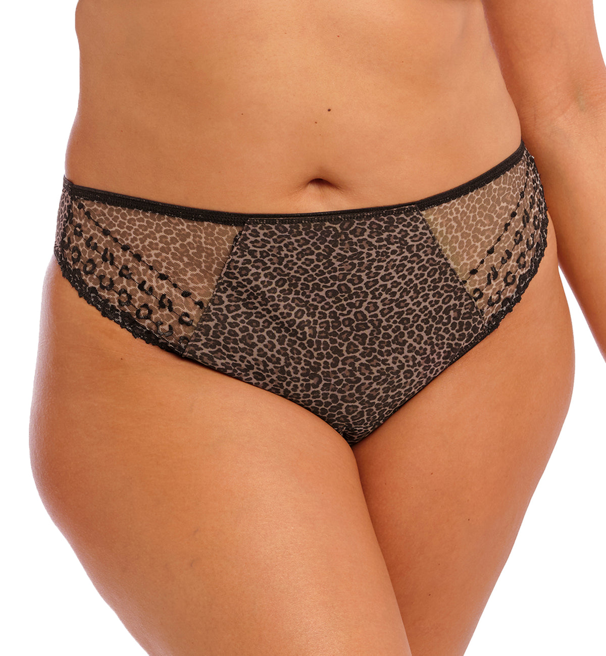 Elomi Matilda Thong (8907),Small,Leopard - Leopard,Small