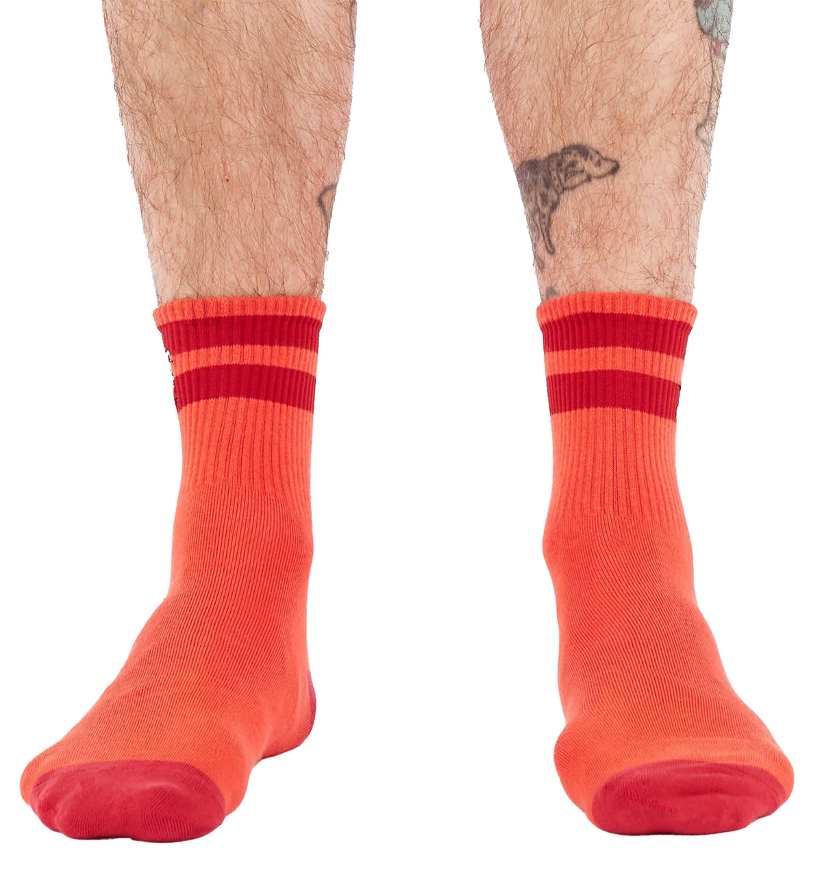 SOCK it to me Quarter Crew Socks (E0001),Rad Chicken - Rad Chicken,One Size