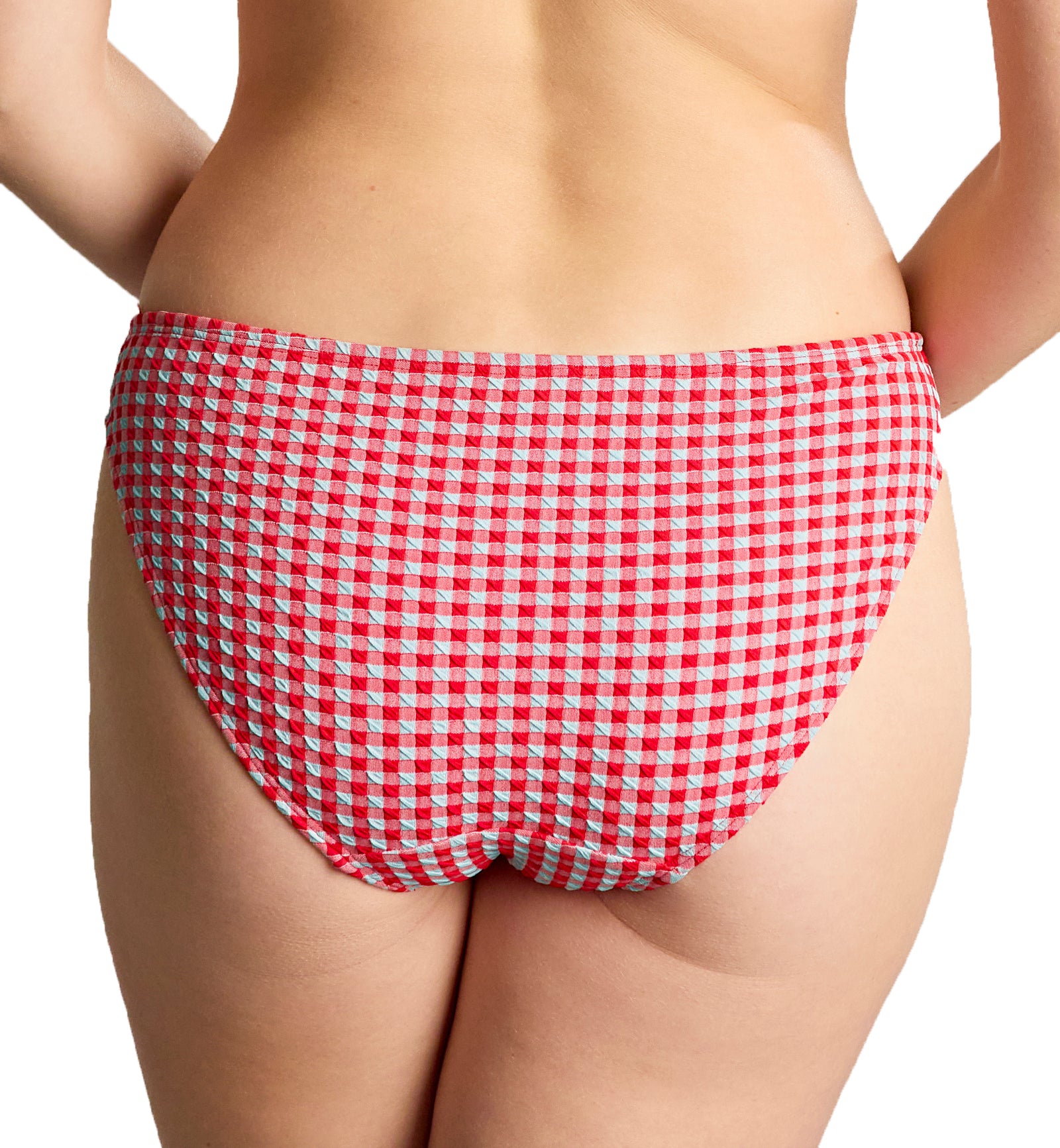 Panache Classic Swim Pant (SW1726),8-XS,Red Gingham - Red Gingham,XS