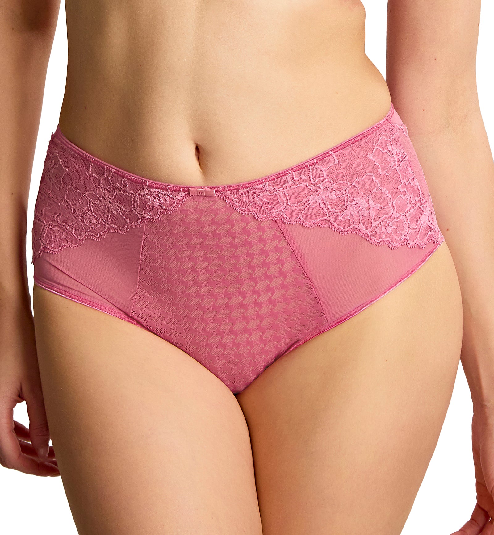 Panache Envy Deep Brief (7283),Small,Fuchsia Pink - Fuchsia Pink,Small