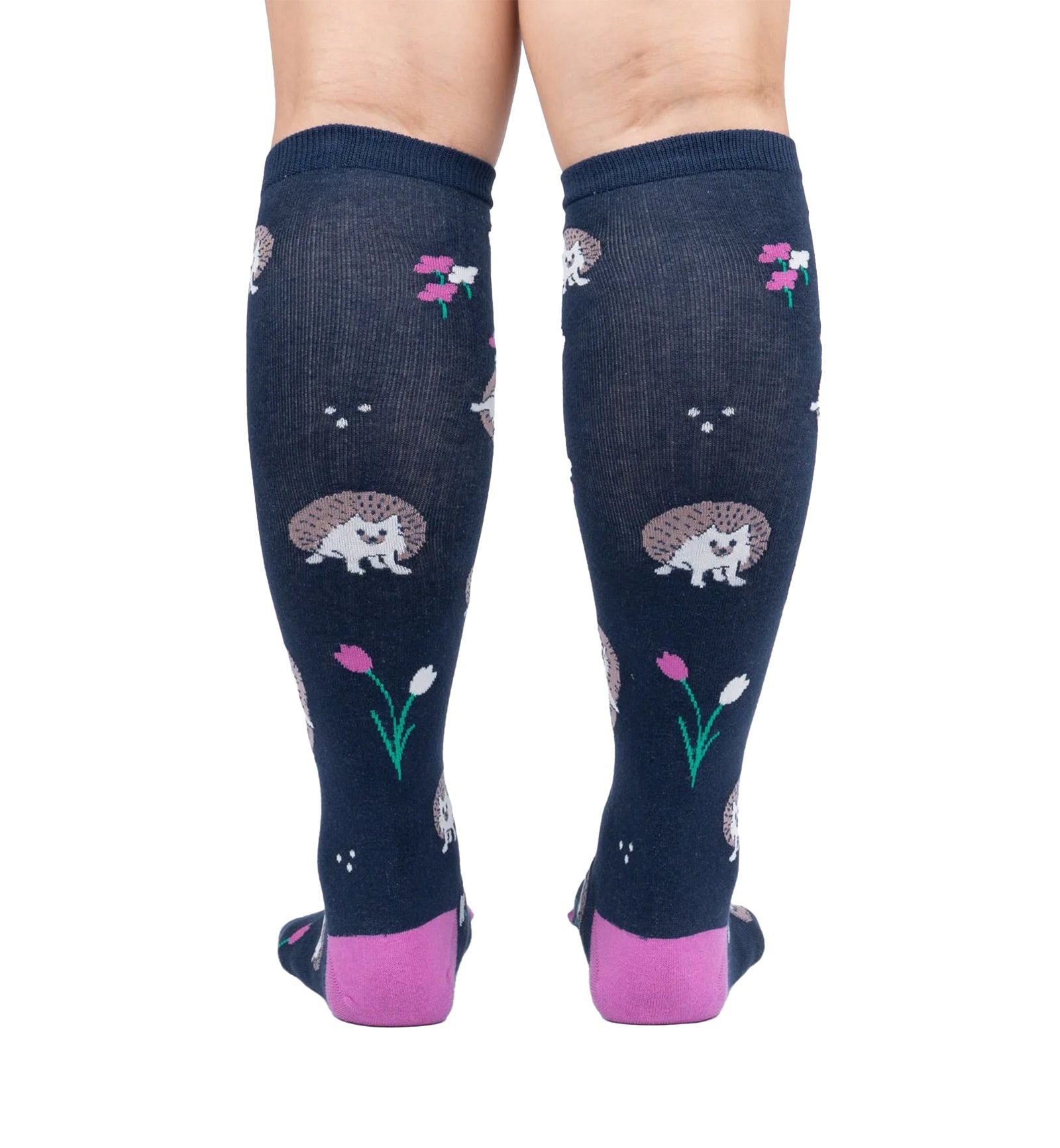 SOCK it to me Unisex Knee High Socks (F0588),Rollin' with my Hedgehog - Rollin' with my Hedgehog,One Size