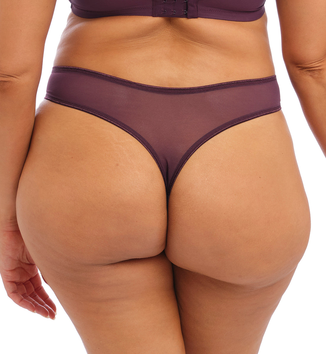 Elomi Matilda Thong (8907),Medium,Wine Diamond - Wine Diamond,Medium