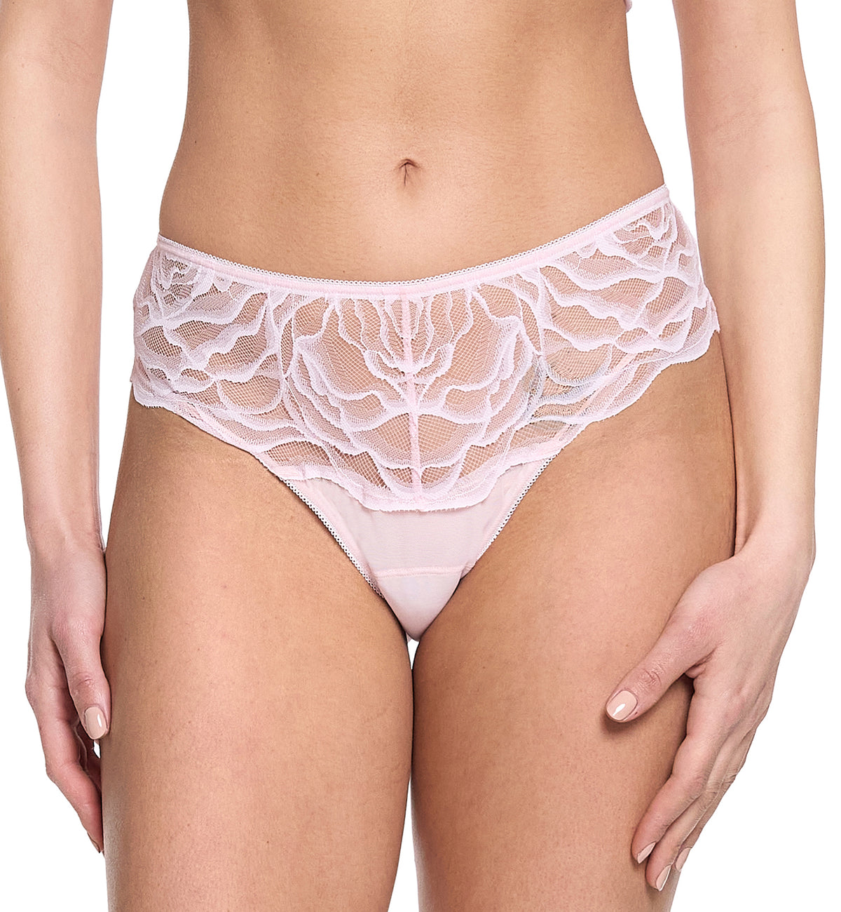 Hanky Panky Silhouette Floral Brief (7F2444),Small,Vie En Rose - Vie En Rose,Small