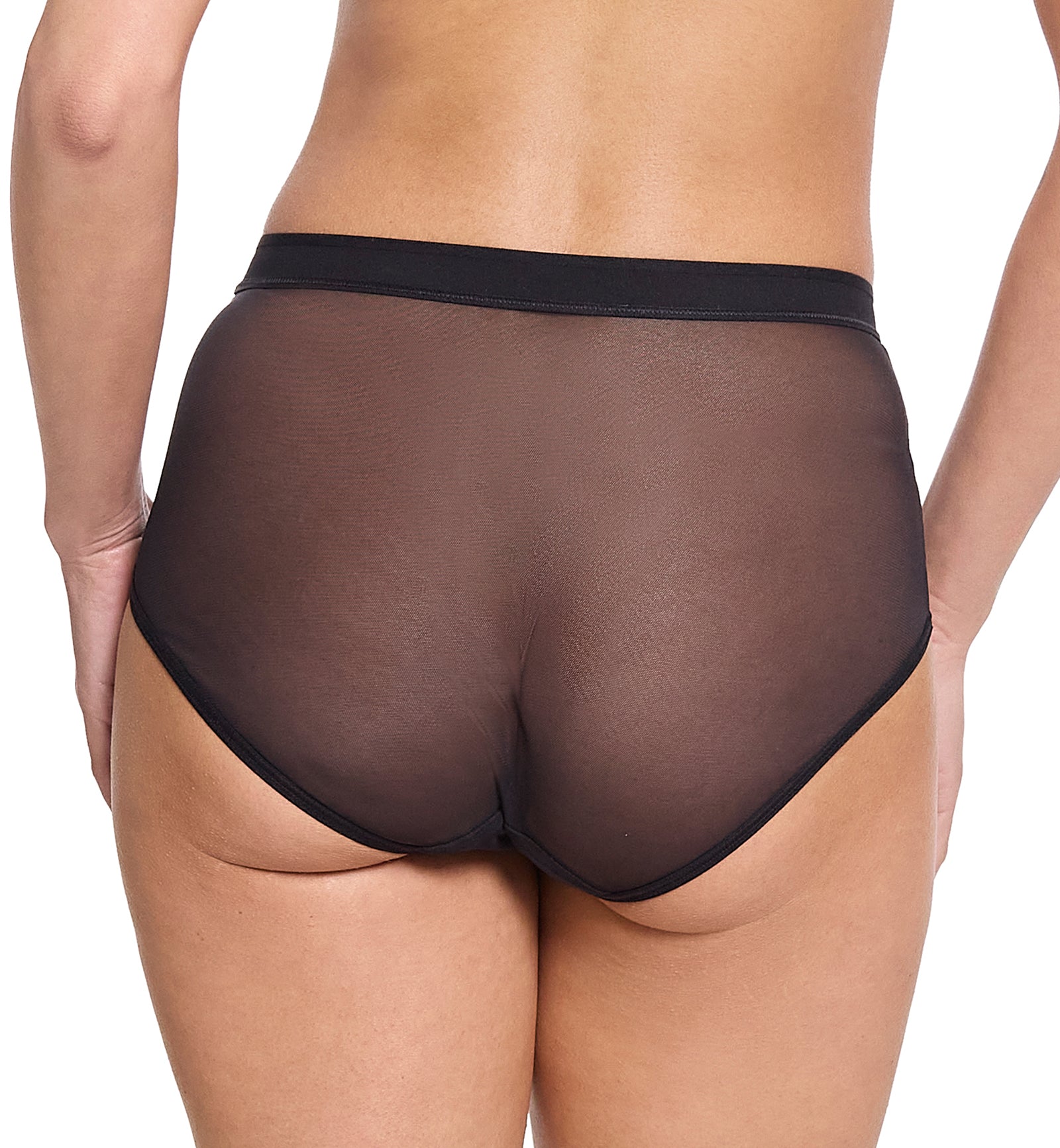 Hanky Panky Mesh High Cut French Brief (7M2444),XS,Black - Black,XS