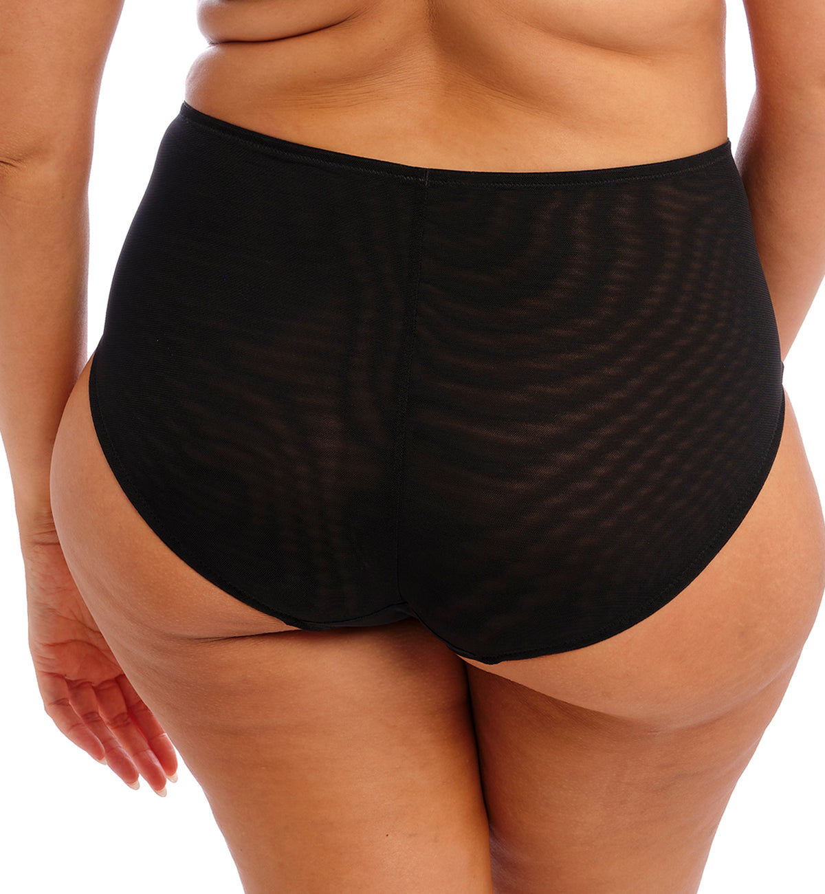 Elomi Brianna Full Panty Brief (8085),Medium,Black - Black,Medium