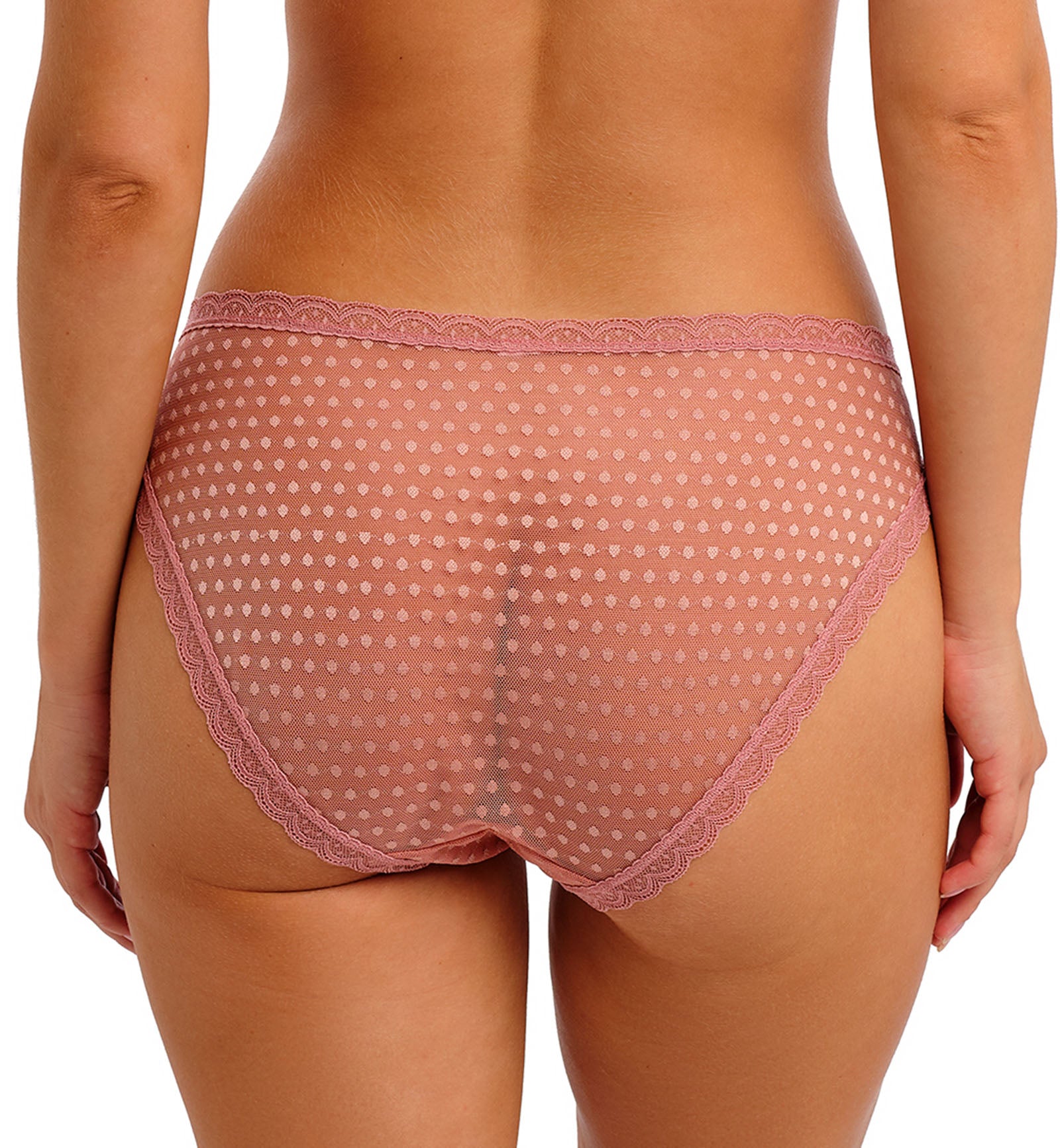 Freya Spot Light Brief Panty (403950),XS,Ash Rose - Ash Rose,XS