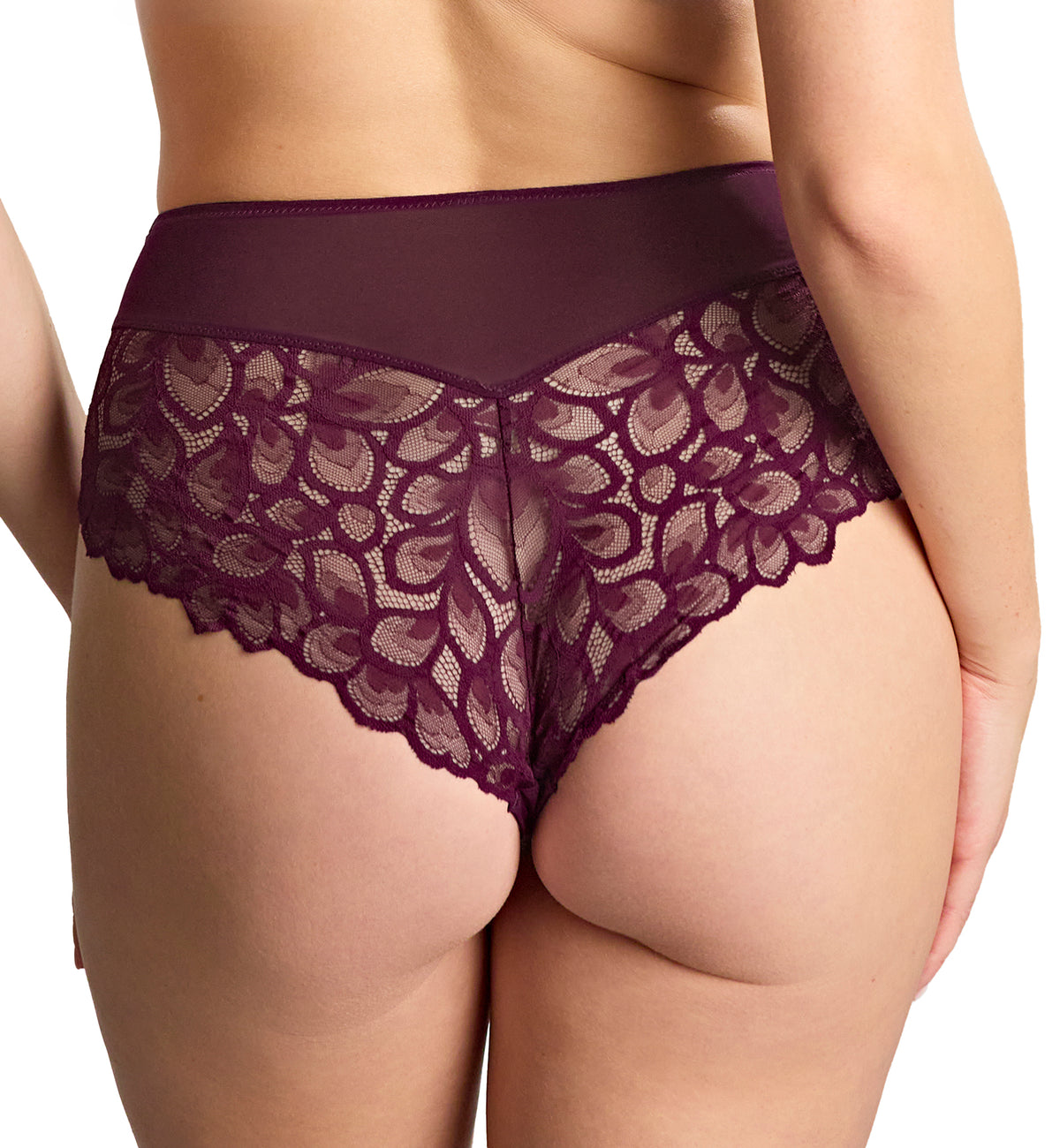Panache Allure Deep Brief (10764),XS,Plum - Plum,XS