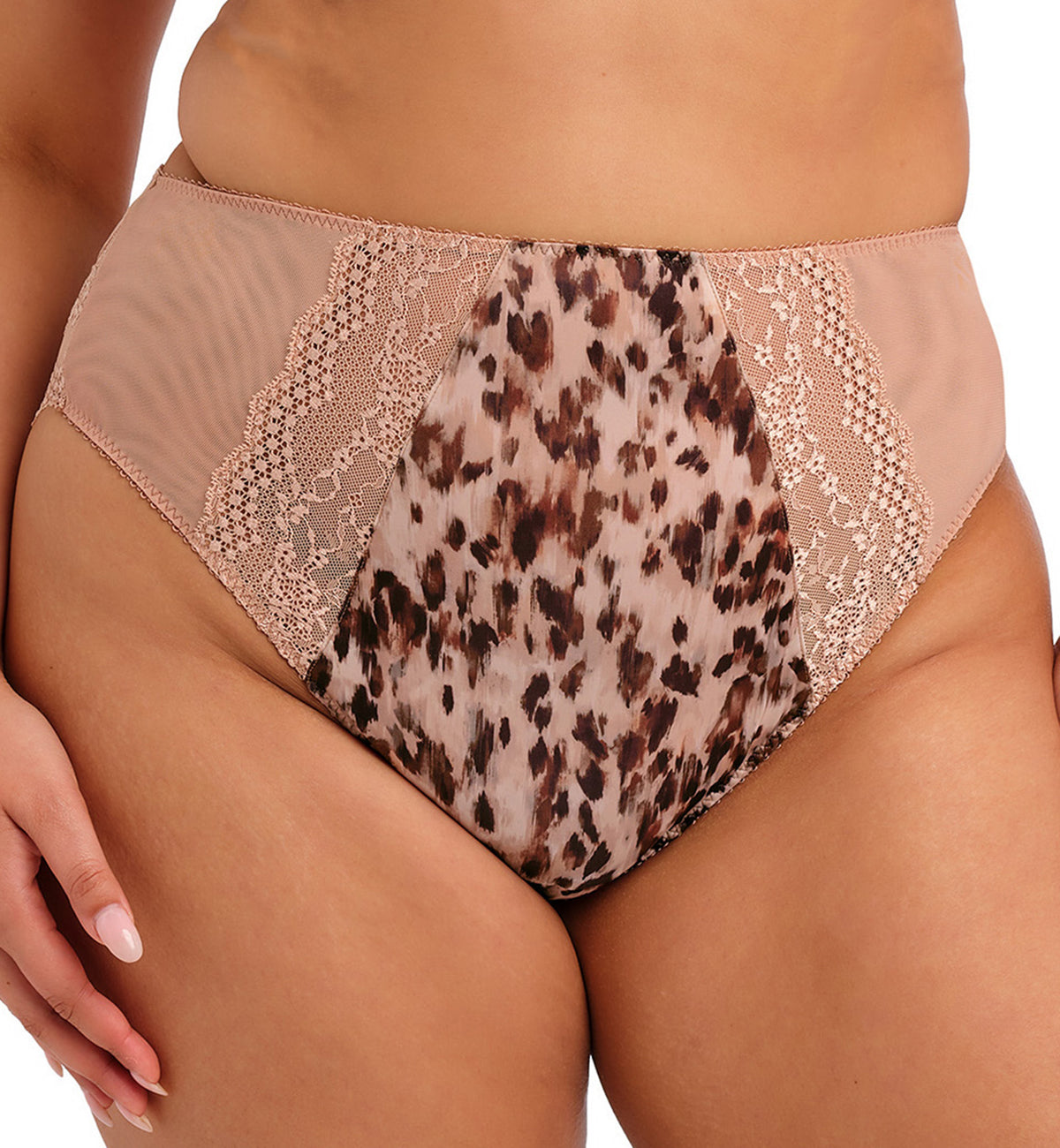 Elomi Lucie Matching High Leg Brief (4498),Small,Wildcat - Wildcat,Small