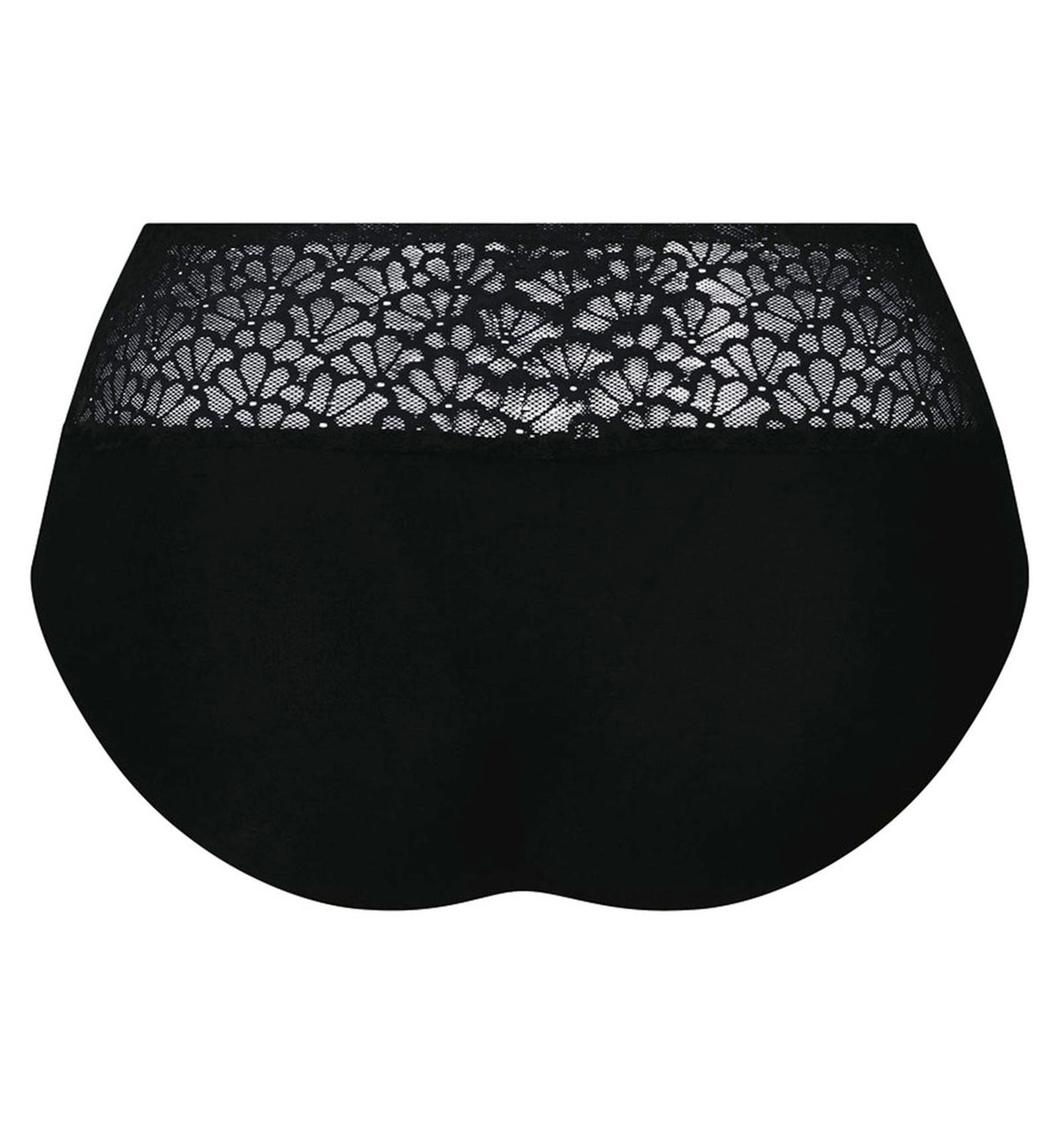 Anita Essential Smart High Waist Brief (1903),Small,Black - Black,Small