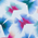 Flutter Print
