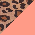 Leopard/Coral