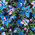 Ocean Blooms