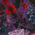 Perennial